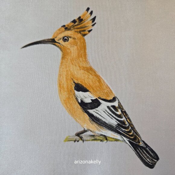 Vintage Silk Scarf Roland Ward Painted Birds Collectible - Picture 7 of 15